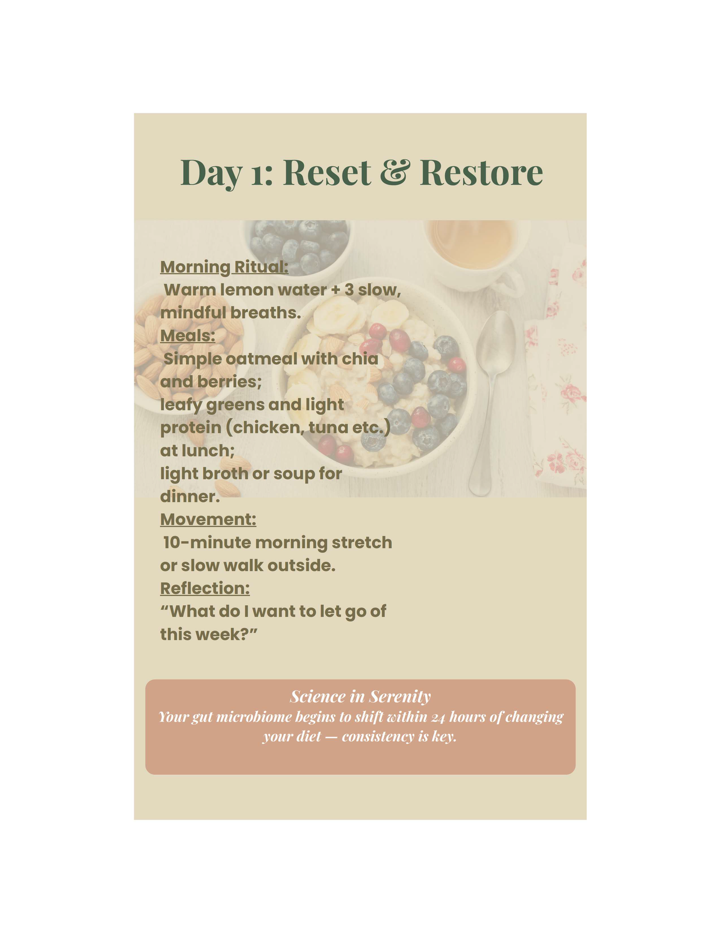 Elysium 7-Day Gut Reset Guide