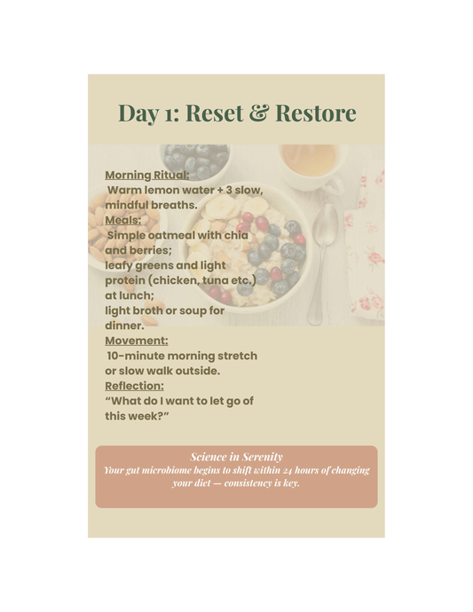 Elysium 7-Day Gut Reset Guide